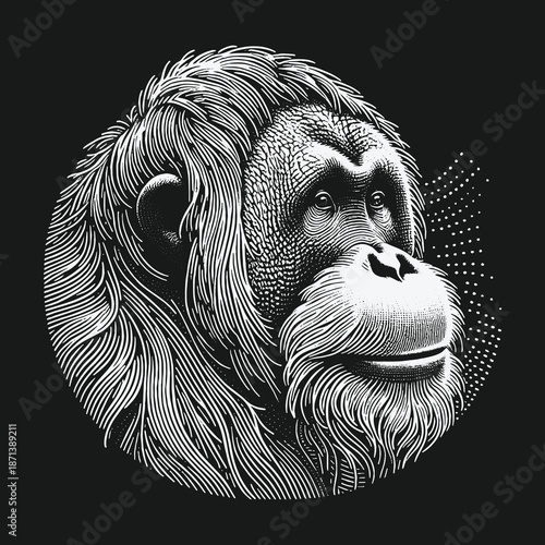 Detailed Line Art Portrait of an Orangutan on Black Background.