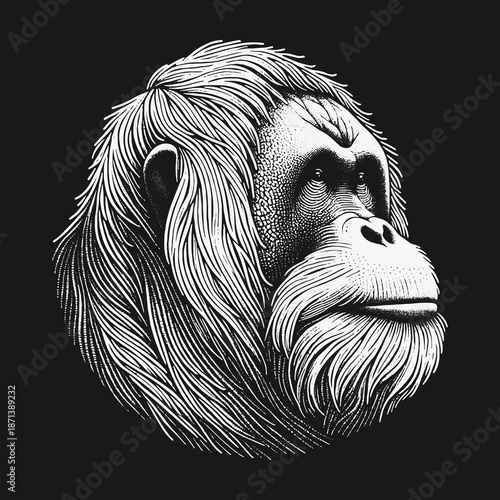 Detailed Orangutan Portrait: A Study in Black and White.