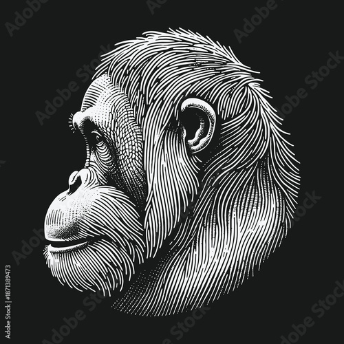 Detailed Orangutan Portrait: A Study in Line and Form.