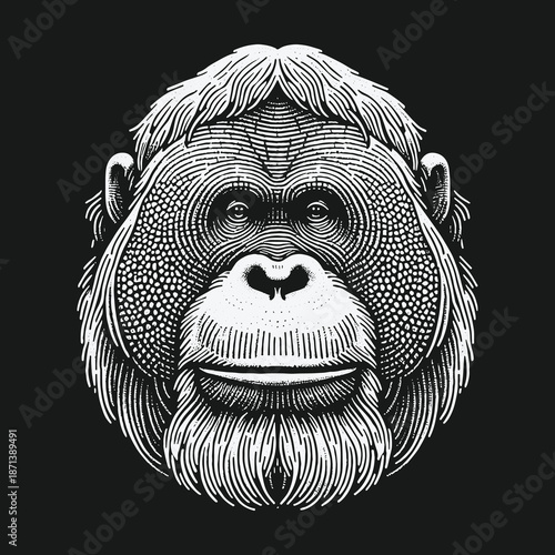 Detailed Engraving of an Orangutans Face on a Black Background.