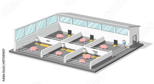 Isometric pig farm interior illustration with pigs in individual pens, modern livestock agriculture