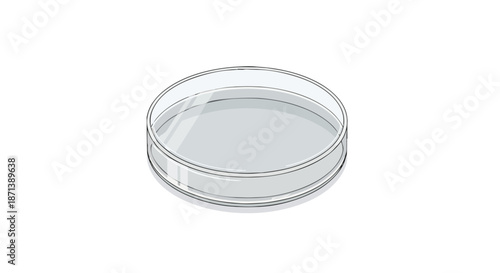 Empty transparent glass petri dish with lid isolated on white background for scientific research