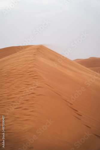wind through the sand dunes