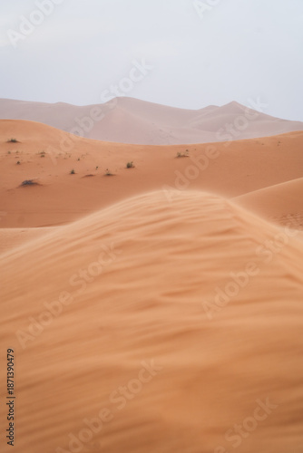 sand dunes in the sahara