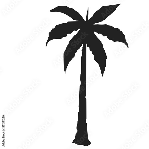 palm tree vector
