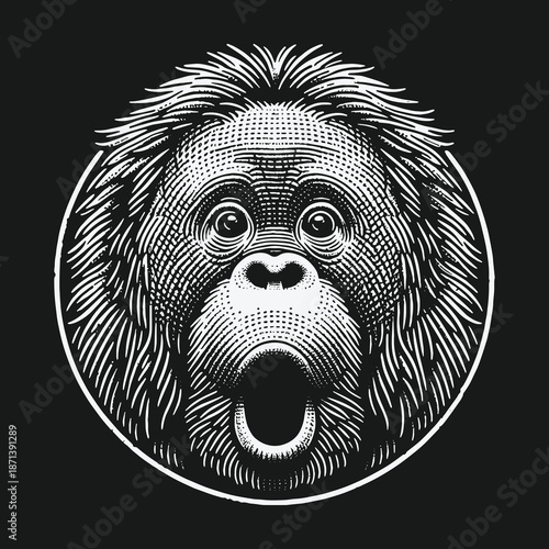 Engraved Orangutan Portrait: Detailed Woodcut Style Illustration of a Surprised Ape.
