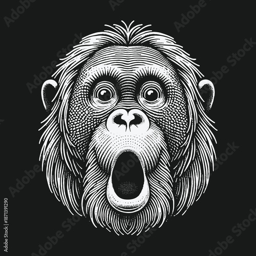 Surprised Orangutan Engraving: A Detailed Black and White Illustration.