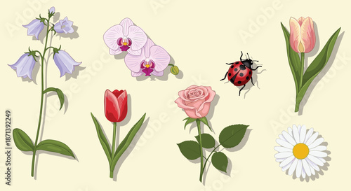 Diverse collection of colorful garden flowers including rose, tulip, orchid, and daisy with a cute ladybug beetle on a light cream background.