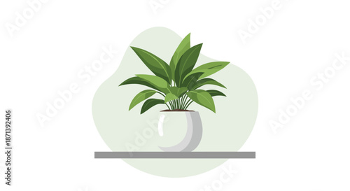 Simple illustration of a lush green houseplant with long pointed leaves in a minimalist white round pot sitting on a gray shelf background.