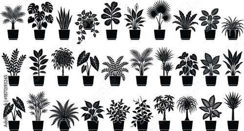 Potted Indoor House Plants Silhouette Collection Featuring Monstera, Palm, Fern, and Succulent Icons for Modern Interior Design, Vector Illustration, and Botany