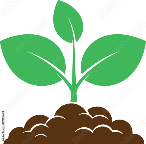 A Small Green Plant Growing Out of Brown Soil also transparent background leaves
