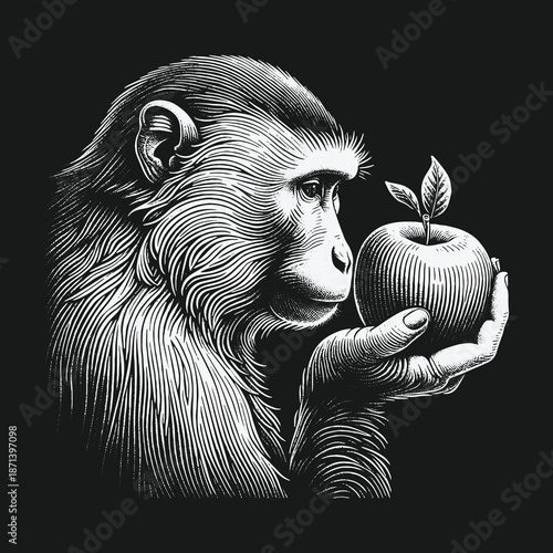 Monkeys contemplation: A primates curiosity with an apple in hand.