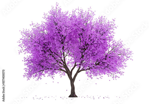 Purple flowering tree isolated on transparent background