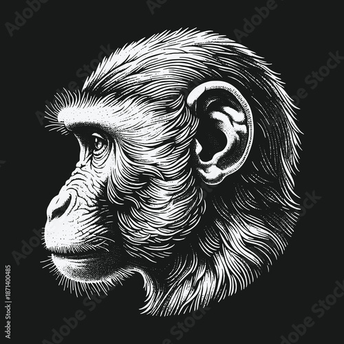 Detailed Chimpanzee Portrait: A Study in Black and White.