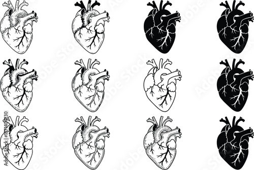 Anatomical heart illustration grid, medical art styles, realistic and silhouette hearts, educational design, artistic anatomy concept