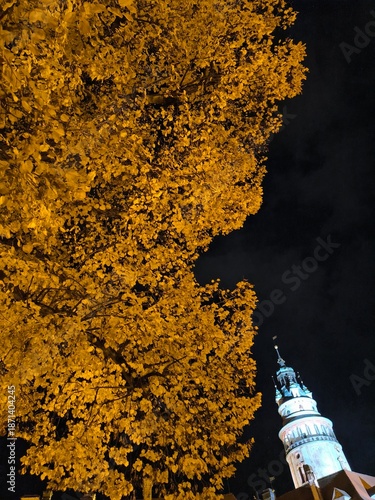 Czech Krumlov Czech Republic October 12 2025 Yellow leaves tower