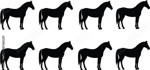 Black horse silhouette set collection isolated on white background for equine design, equestrian sports, animal vector illustration, stallion mascot graphics,