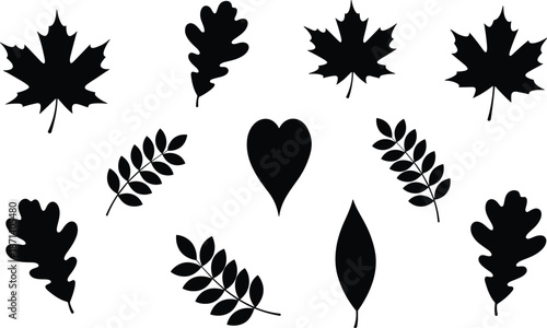 Black leaf silhouette set collection with maple oak and rowan leaves isolated on white background for autumn nature design elements,