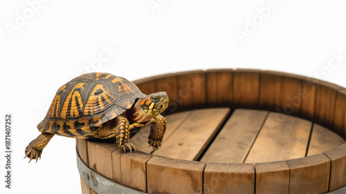 turtle on top of a wooden barrel outdoors