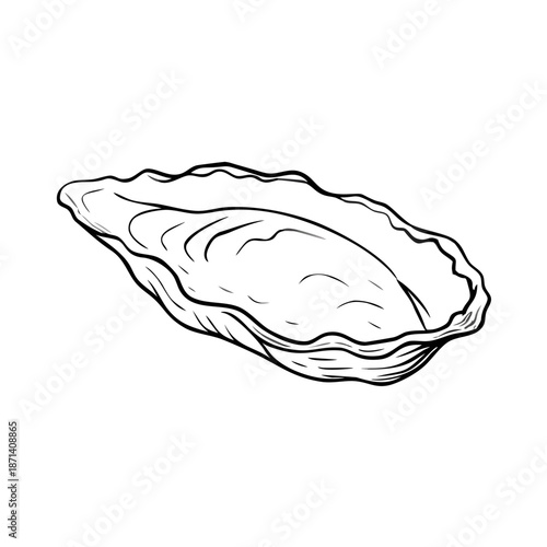 Highly detailed oyster shell sketch, an engraving drawing suitable for seafood restaurant menus. Empty oyster shell sketch for culinary design projects, food packaging, gourmet product branding.