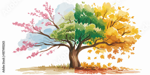 Vibrant watercolor painting of tree depicting all four seasons spring summer autumn and winter with colorful leaves and blossoms artistic nature illustration for seasonal backgrounds and creative proj