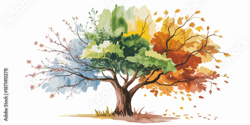 Watercolor four seasons tree illustration depicting spring summer autumn winter with vibrant foliage artistic branches seasonal changes nature concept for environmental sustainability projects and edu