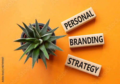Personal Branding Strategy symbol. Wooden blocks with words Personal Branding Strategy. Beautiful orange background with succulent plant. Business concept. Copy space.