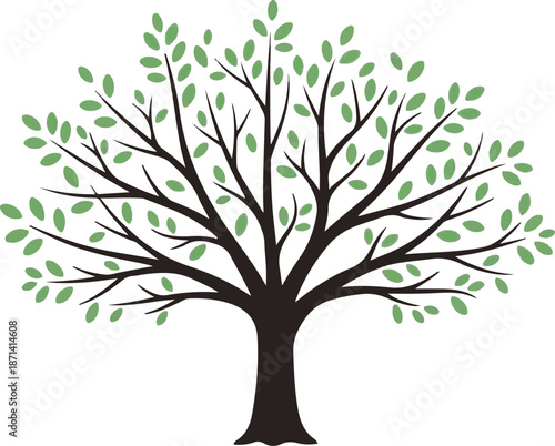A minimalist illustration of a tree with sparse green leaves on a white background