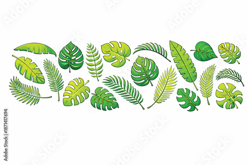 Tropical Leaf Vector Set with Monstera, Palm, and Banana Leaves; Green Jungle Foliage Collection for Summer Design, Botanical Illustration Bundle Isolated on White, Exotic Plant Elements SVG Kit