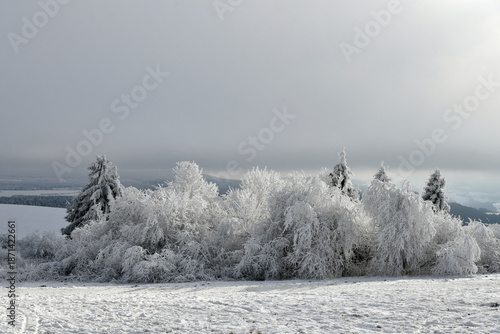 Weiße Winterlandschaft
