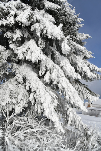 Weiße Winterlandschaft