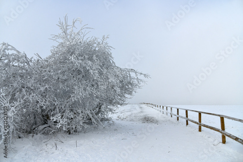 Weiße Winterlandschaft
