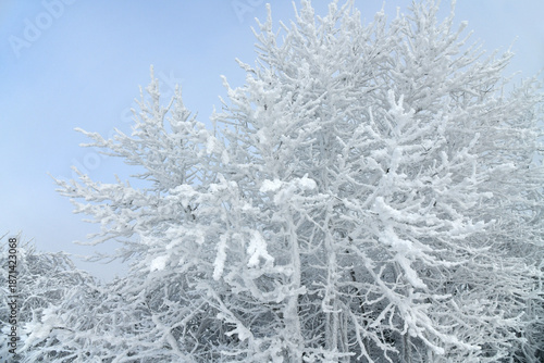 Weiße Winterlandschaft