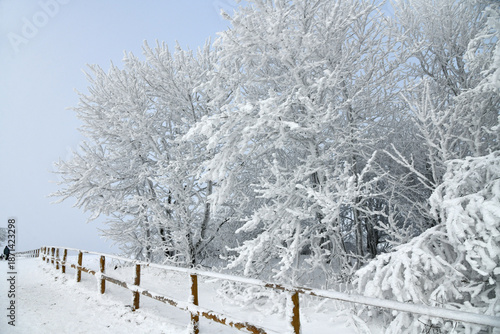 Weiße Winterlandschaft