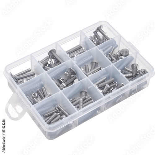 Collection of Metal Screws Stored in a Plastic Organizer Box With Separate Co...