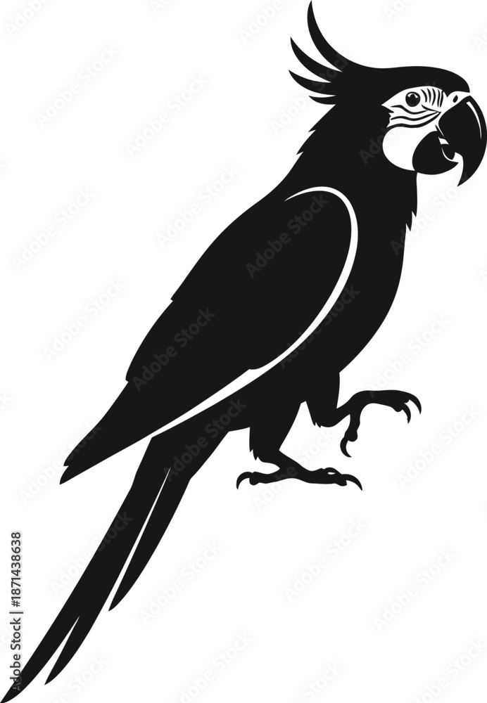 Fototapeta premium Black cockatoo isolated on transparent background