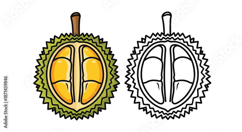 Illustration of two durian fruit cutouts, one colored and one outlined, against a white background.