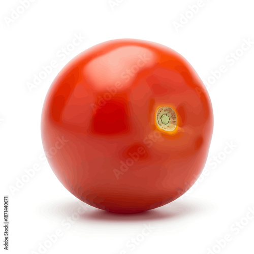 Vibrant red tomato with green stem on white background