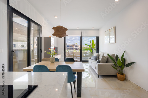 Bright modern living and dining room with balcony view and indoor plants