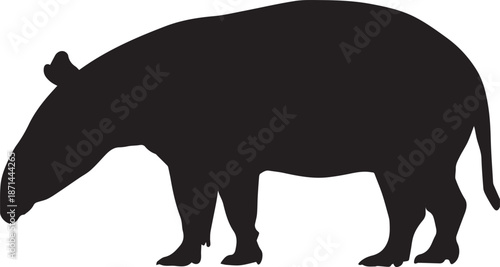 Tapir silhouette vector flat illustration design. 