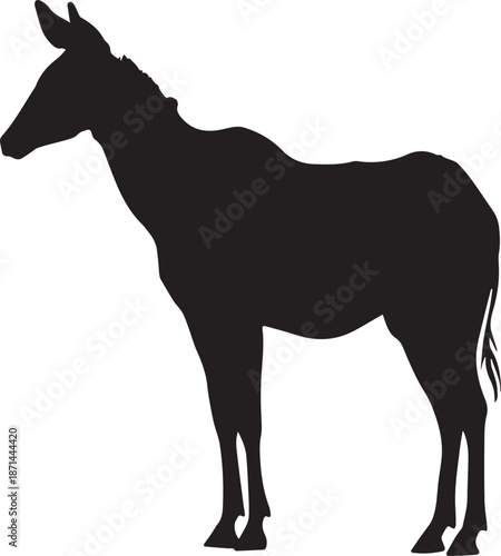 Okapi vector silhouette illustration isolated on white background. Forest giraffe. Okapia Johnstoni symbol.