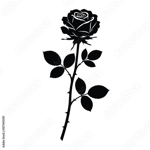 Black rose illustration with leaves on a white background