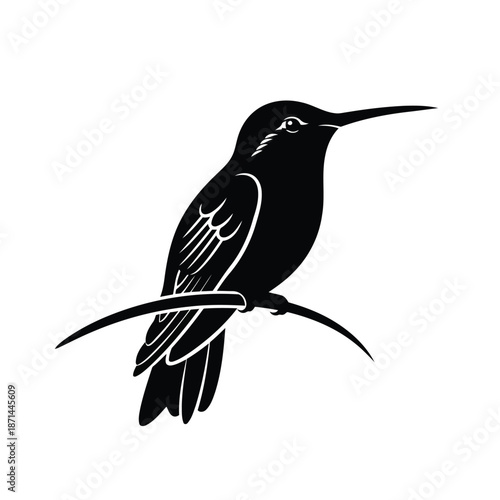 A black bird with long beak perched on a branch in a simple illustration
