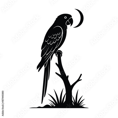 A parrot perched on a branch under the night sky with a crescent moon shining
