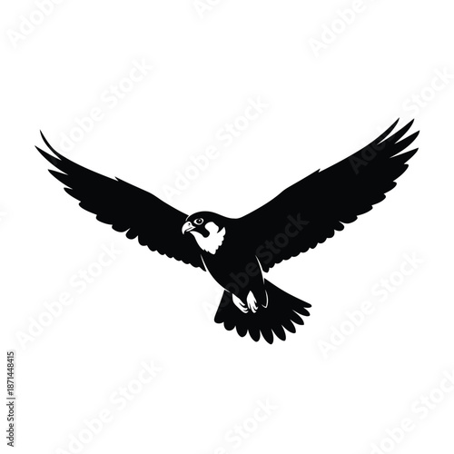 A majestic osprey in flight soaring through the sky with outstretched wings, a powerful silhouette against a clear backdrop