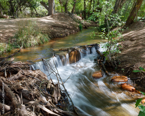Arizona stream on sunny day 