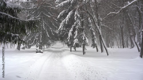 Park bench buried in deep, fresh snow next to a forest path and tall spruce trees during a heavy snowfall or blizzard