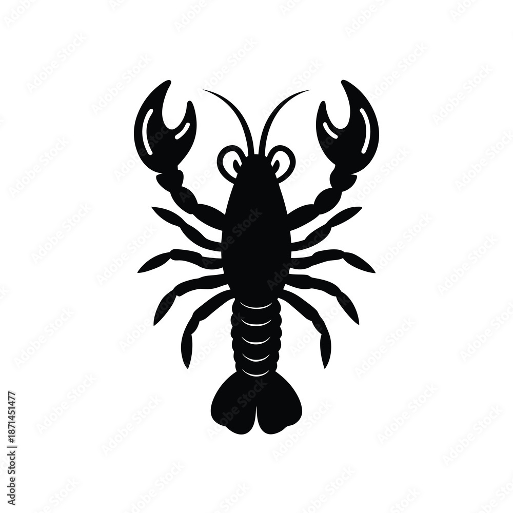 Obraz premium Adobe Illustrator Artwork