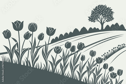 Serene tulip field in bloom isolated on white background