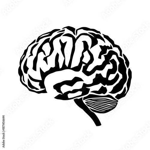 Human Brain: An artistic representation of the human brain, showcasing its intricate structure and contours in stark monochrome. A visual exploration of the seat of human thought and emotion.